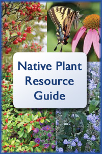 Native Plant Resource Guide